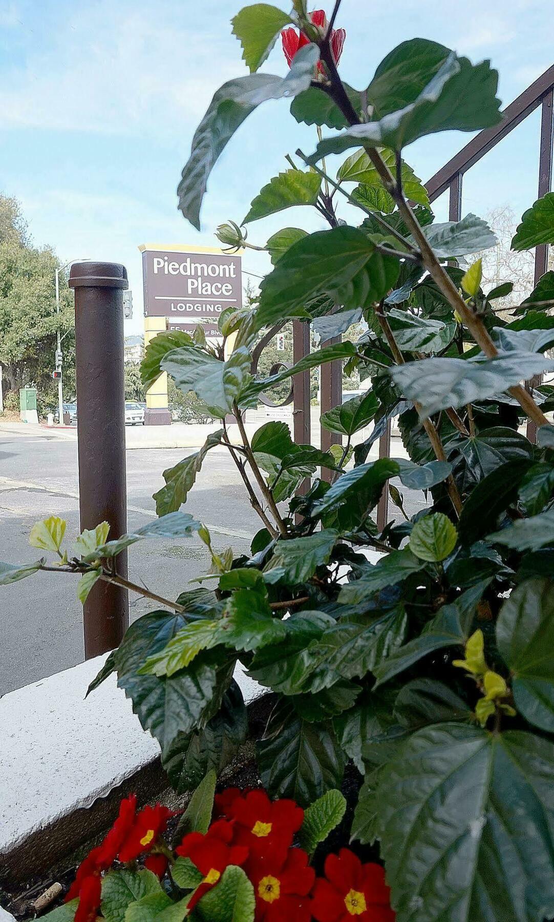 Motel Piedmont Place Oakland Zewnętrze zdjęcie